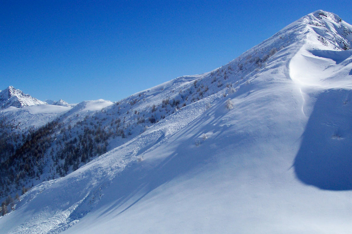 Avalanches en face N