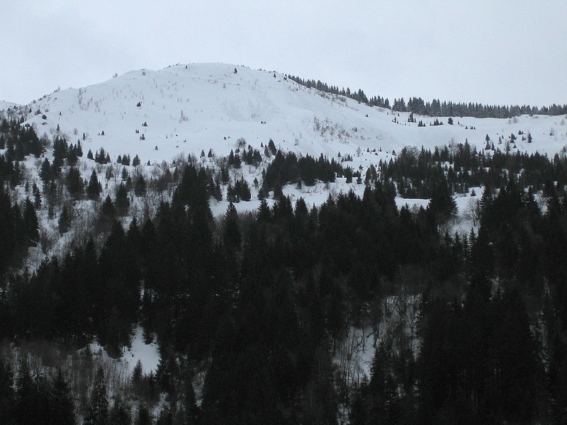 Chapotet - versant N de la bosse 1808m