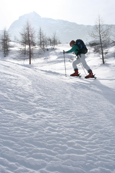 Montée dans les mélèzes