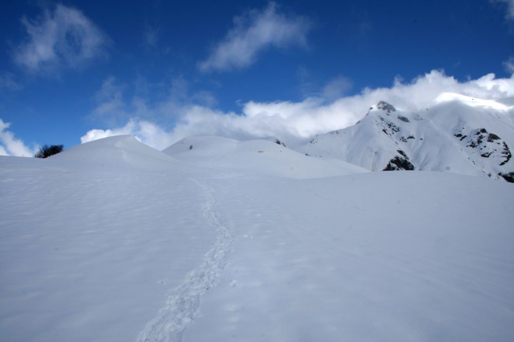 en montant sur le plan de la Limace