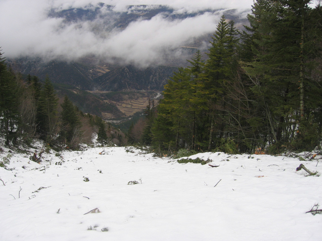 Couloir d'avalanche versant Nord au Ventoux