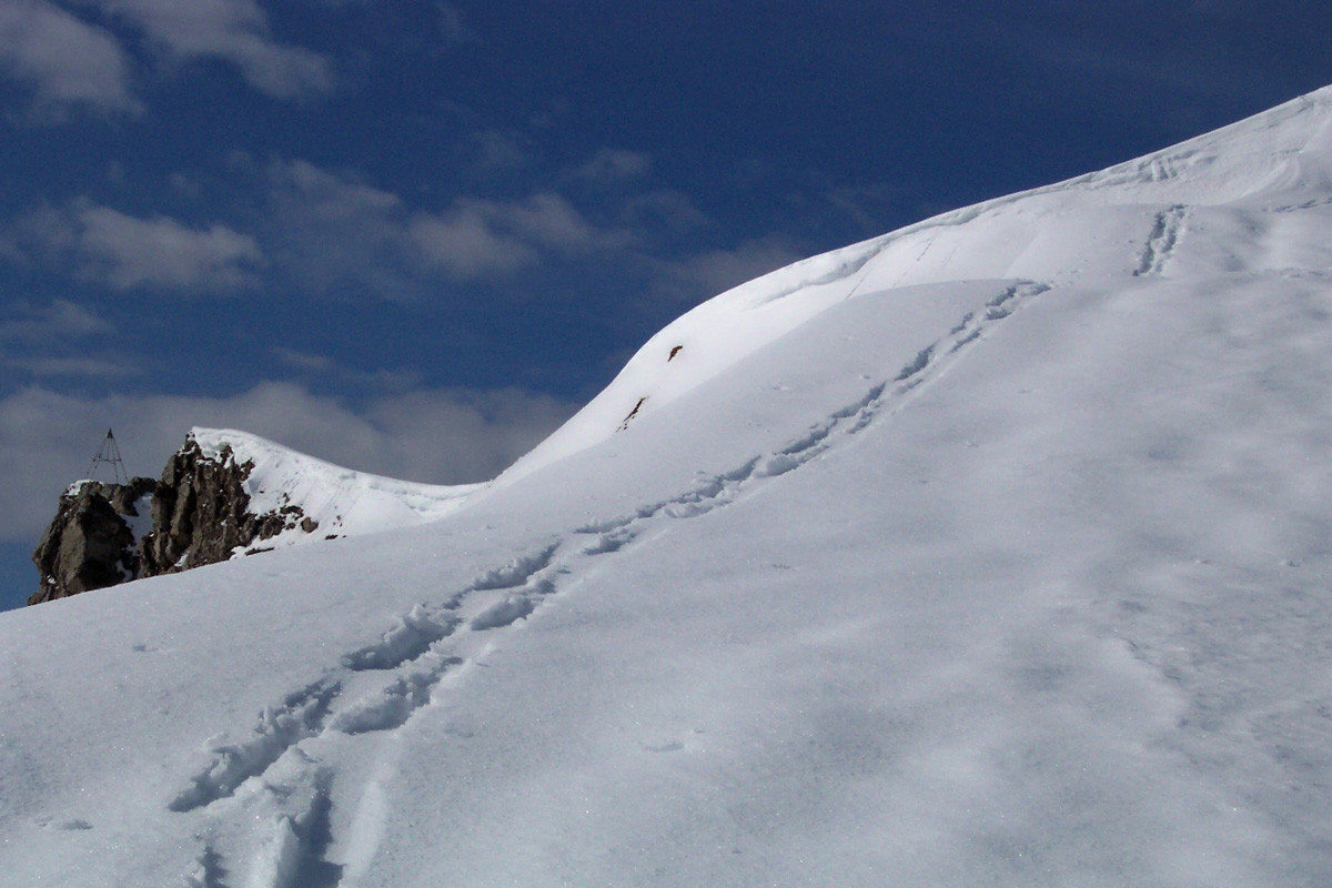 Arête finale