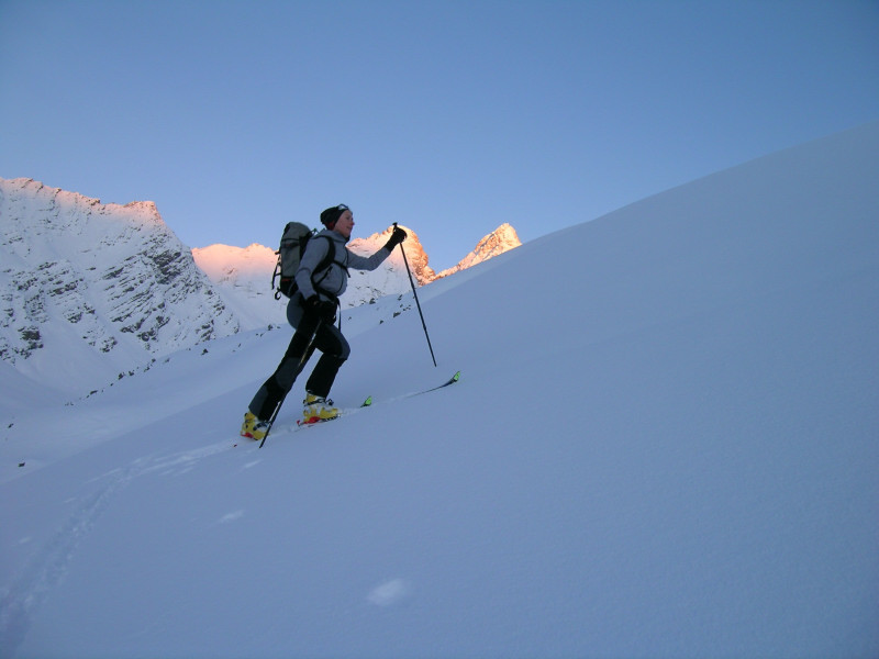 Premiers rayons de soleil sur les aiguilles d'arves