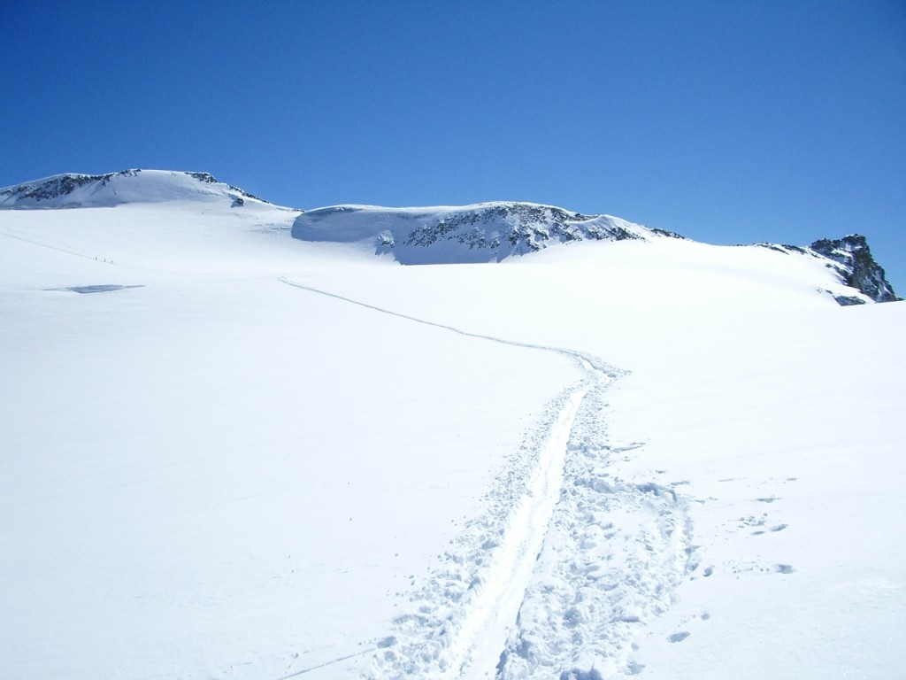 En route vers le sommet du Pigne d'Arolla