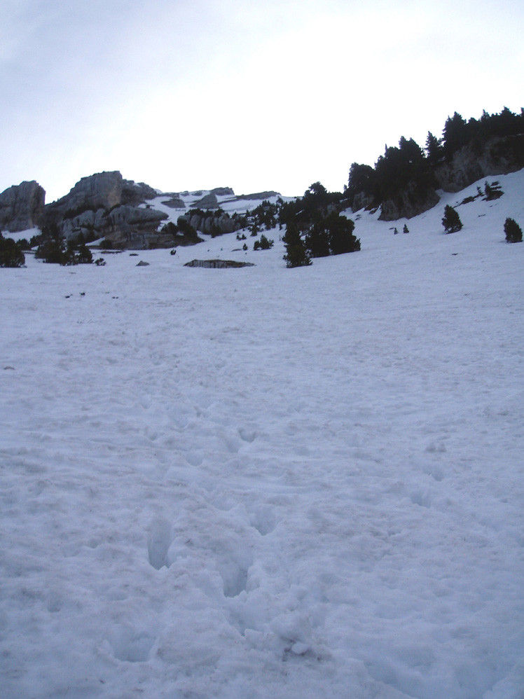 Chamechaude : le couloir principal