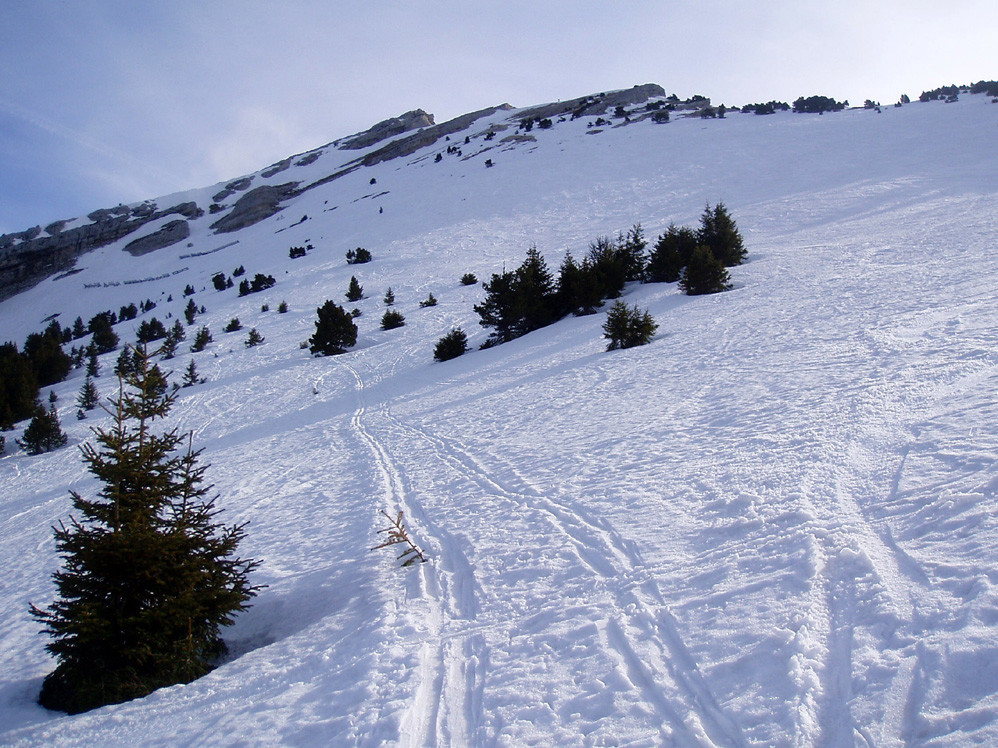 Chamechaude : le plateau sommital