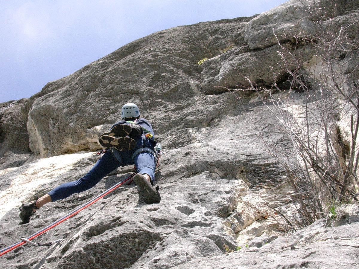 Orchidea - L3 6b - Dom en action