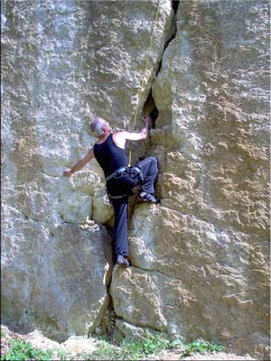 La Niche La Niche