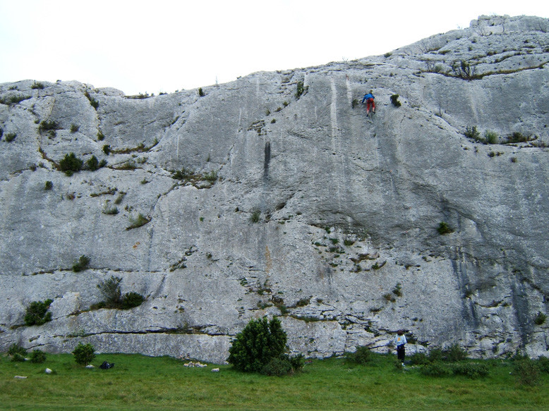 Mouriés