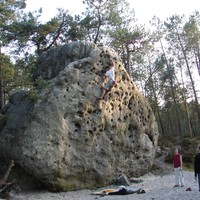 Dalle à Poly