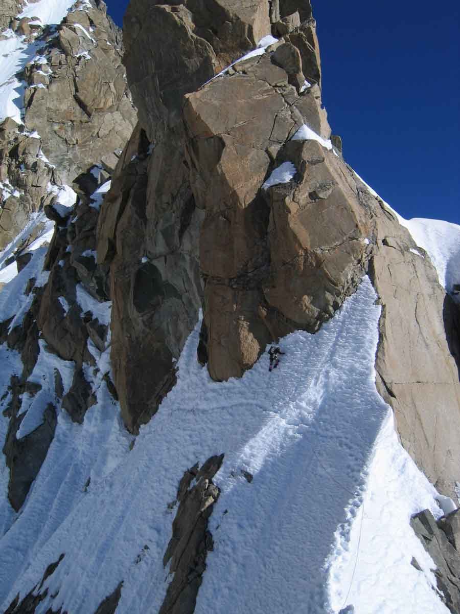 contournement de l'androsace