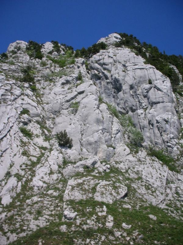 le pilier