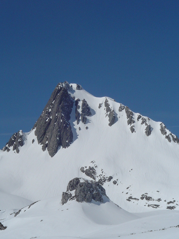 picu Torres