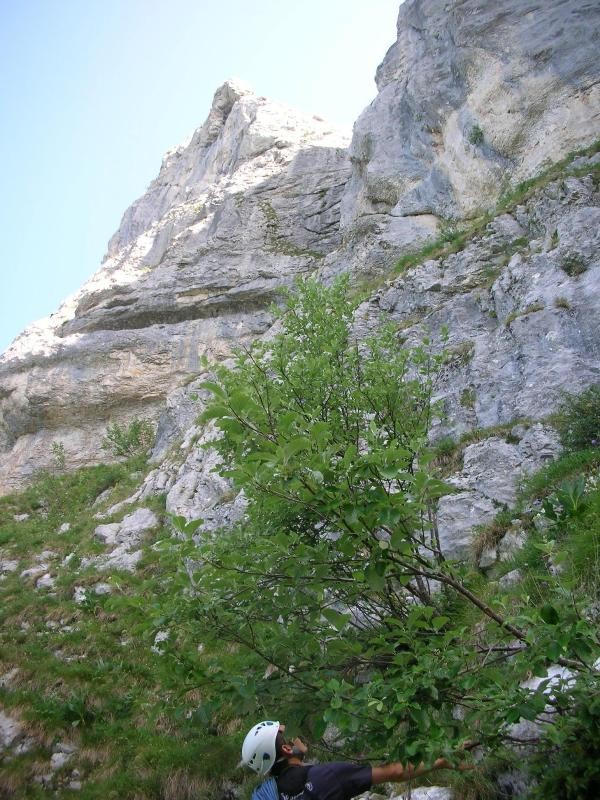 Vires d'acces