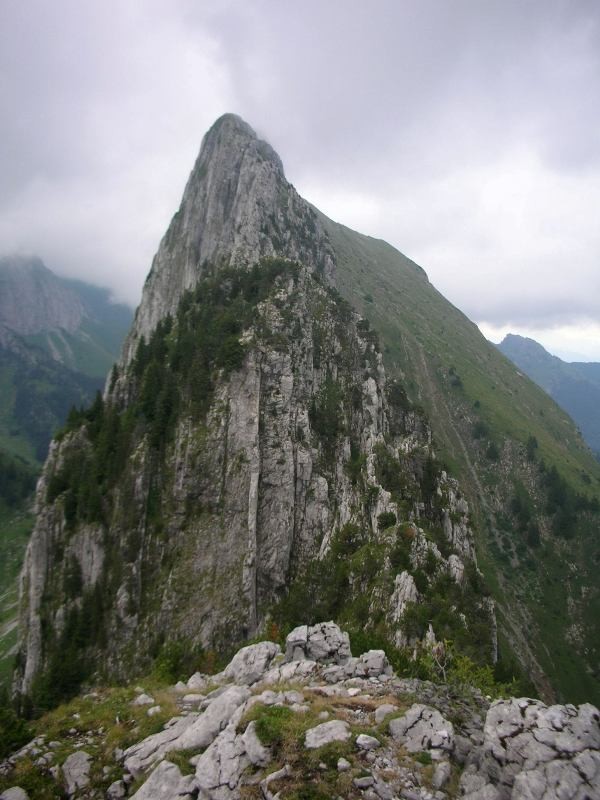 A mi-chemin