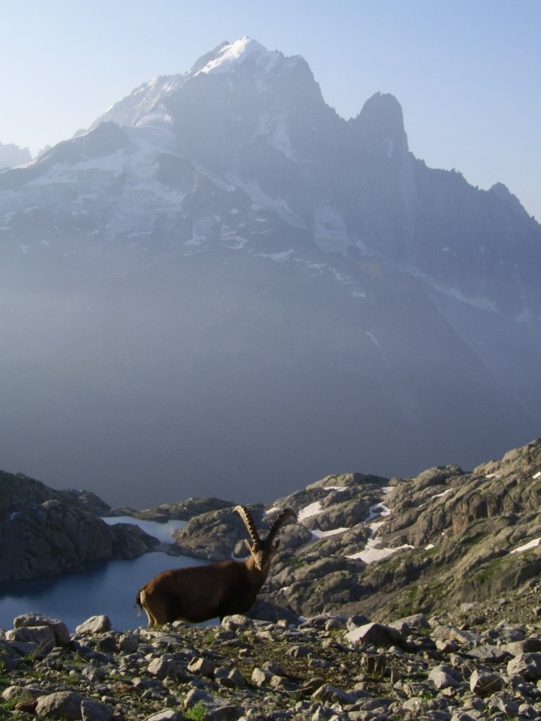 Le lac Blanc et l'Aiguille Verte
