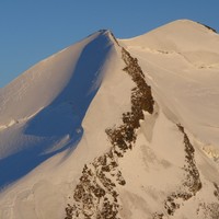 Castor