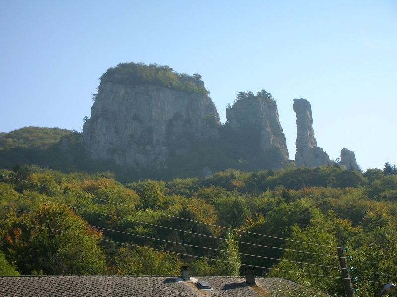 L'ensemble du site