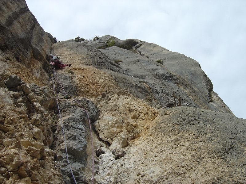 Verdon L3 Solanut
