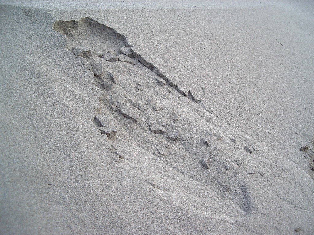 avalanche de plaque