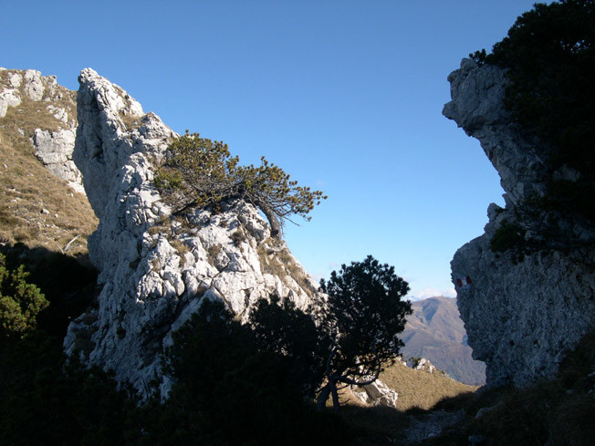 Verso il Torrione di Valsolda