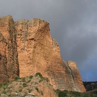 le Mallo Visera