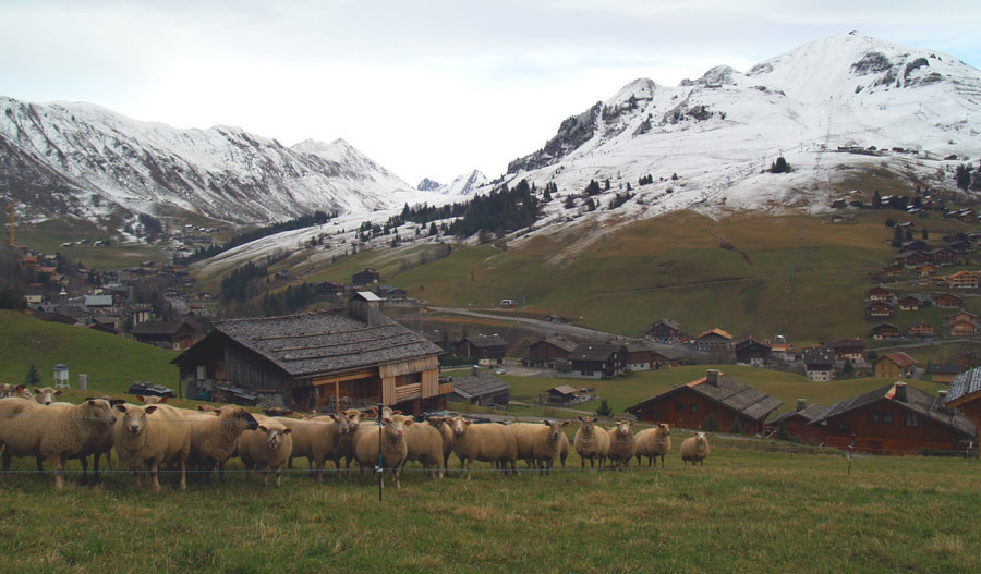 mais où est la neige