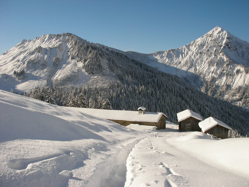 Chalets de Beau-Bornou