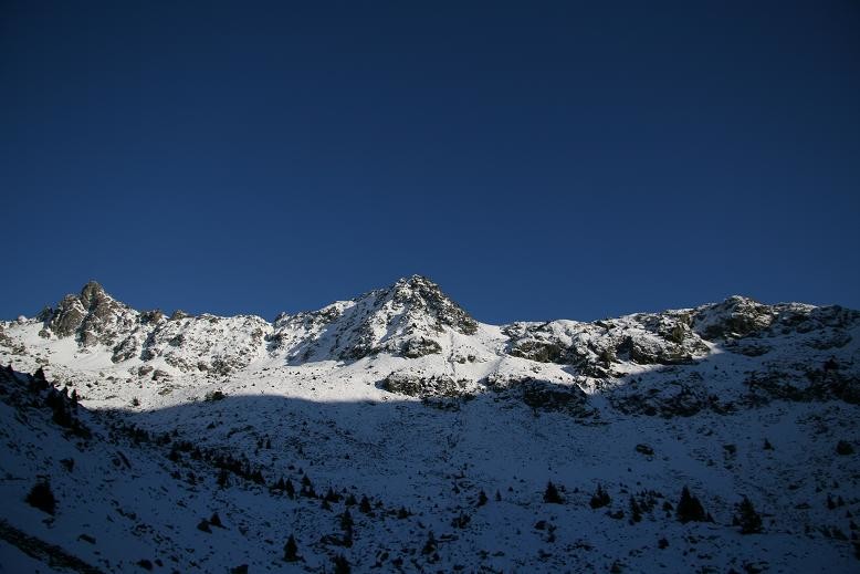 Pic du pin