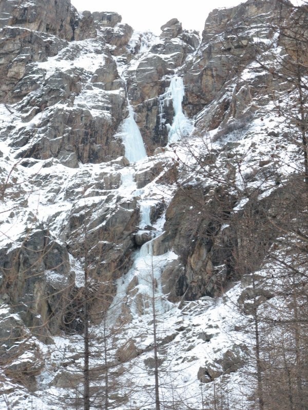 Patri