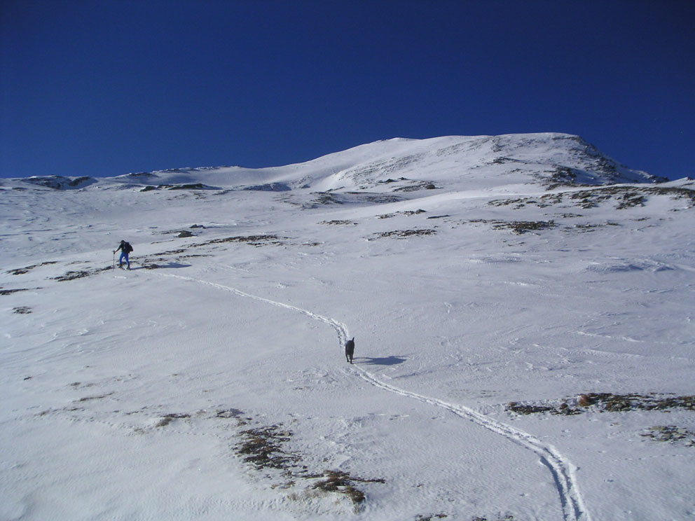 Passo Tallihorn - q.ta 2799