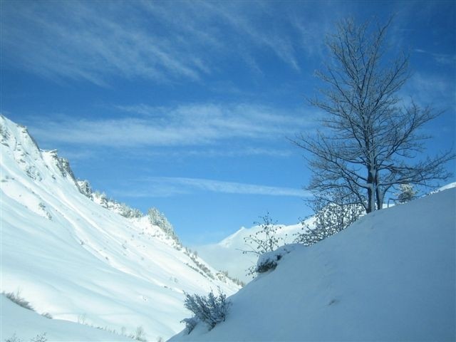 Sous la Golèse.JPG