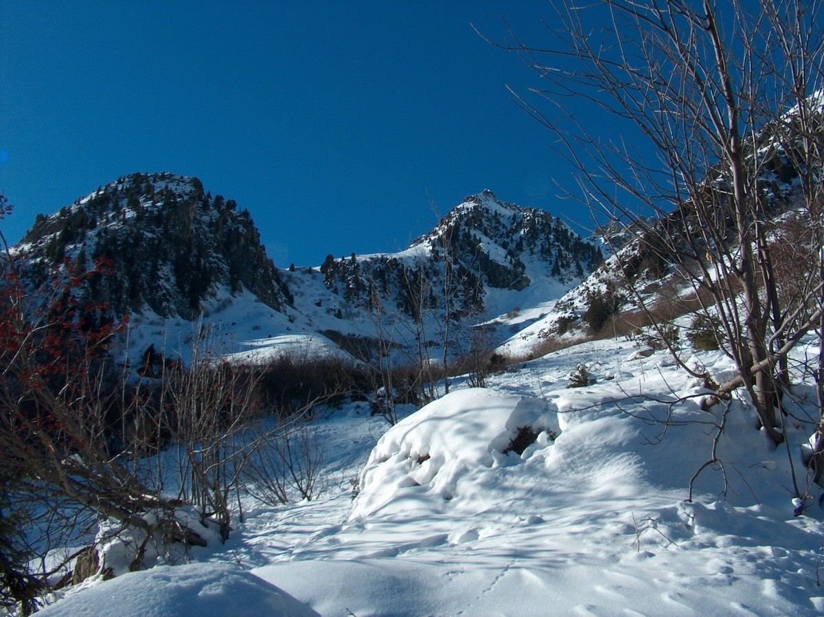 La partie basse du Vallon de Roche Noire.