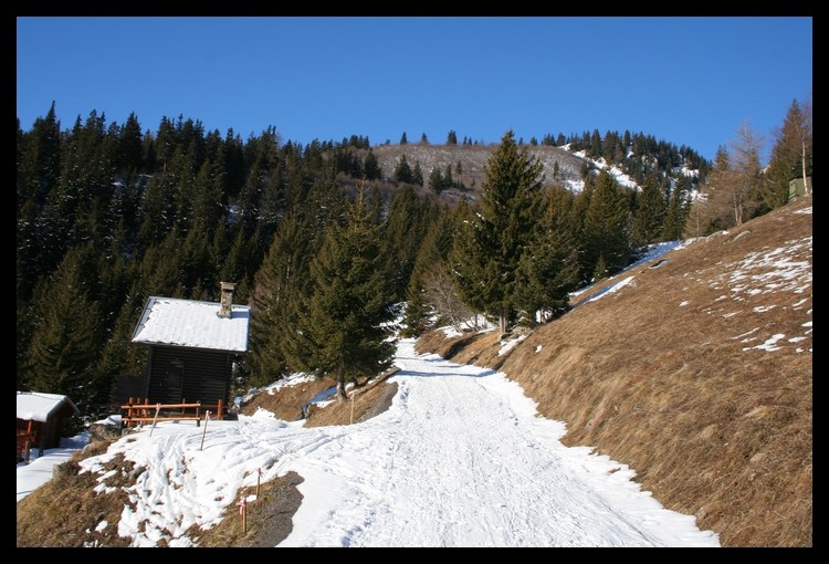 Col de la Charbonnière - montée vers le hameau de la Gitte