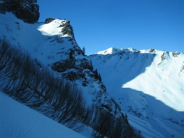 Tavaneuse au fond