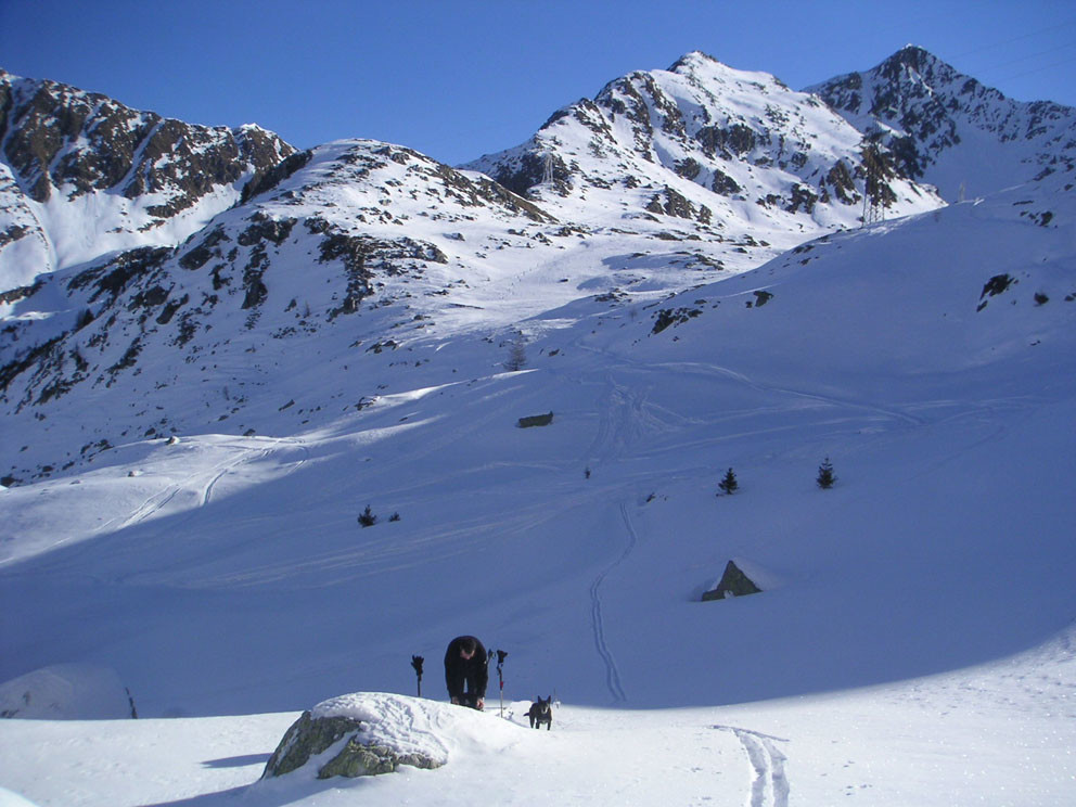 Cima dei Lupi