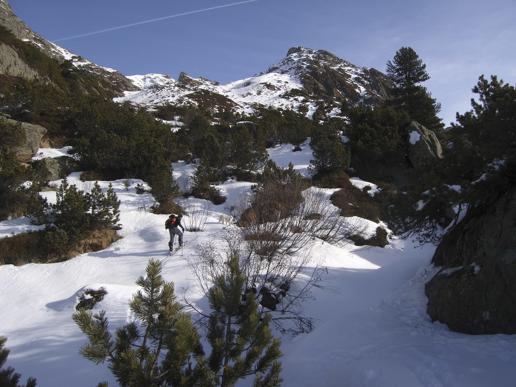 La montée au Unteralstock est très boisé au début