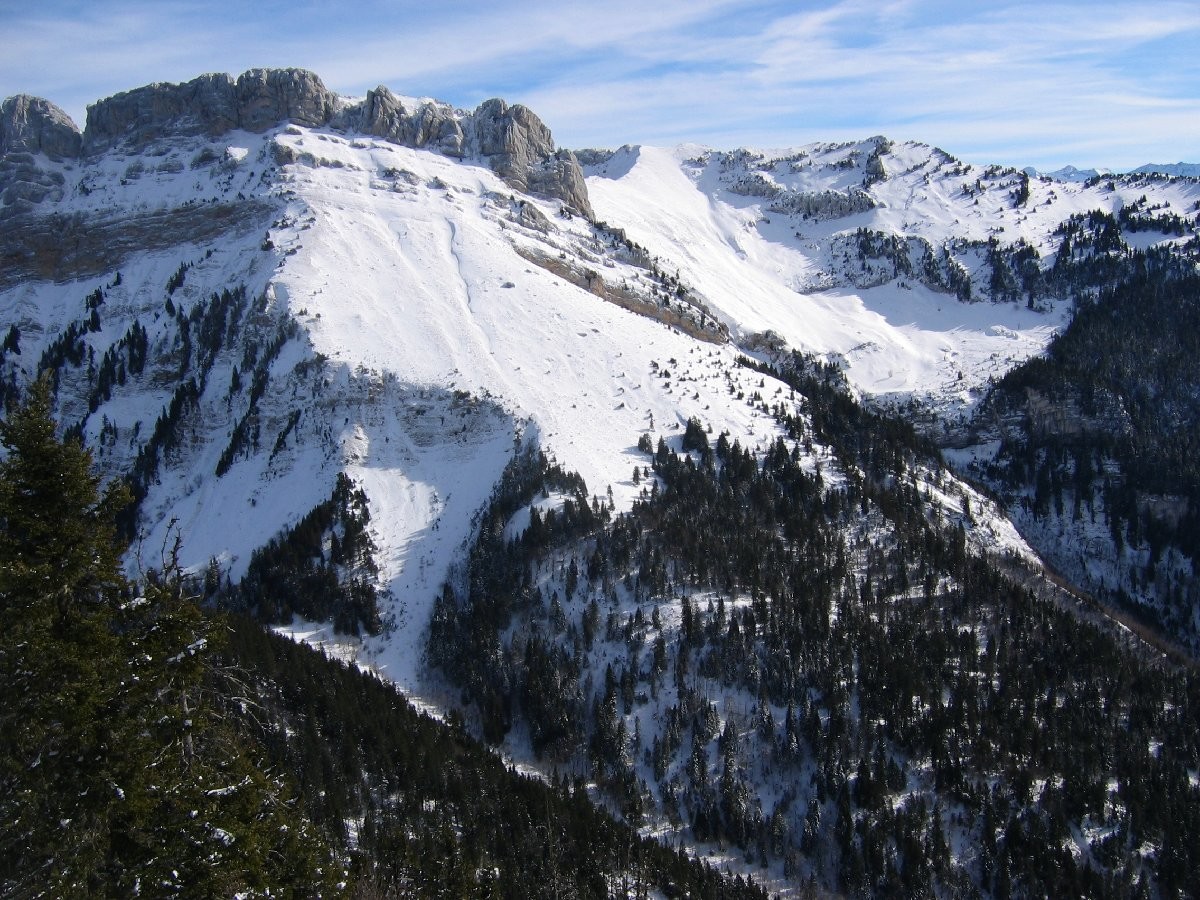 Versant W des lances de Malissard et du dome de Bellefont