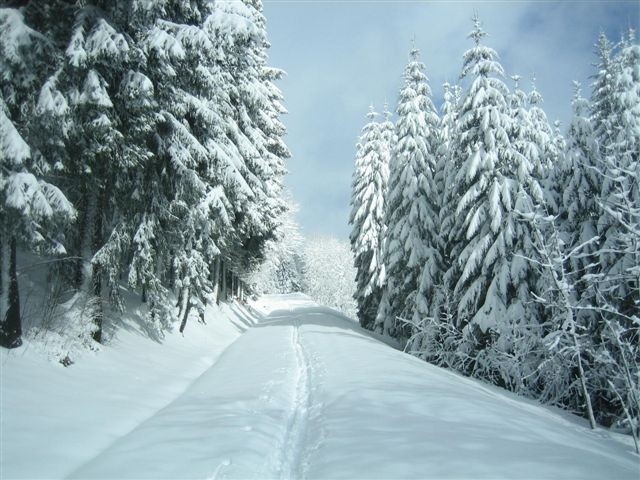 Sous l'Encrenaz