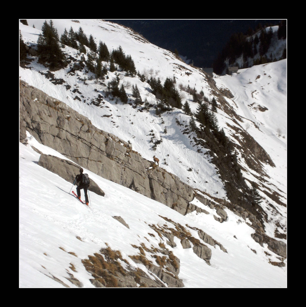 Le couloir ... des bouquetins