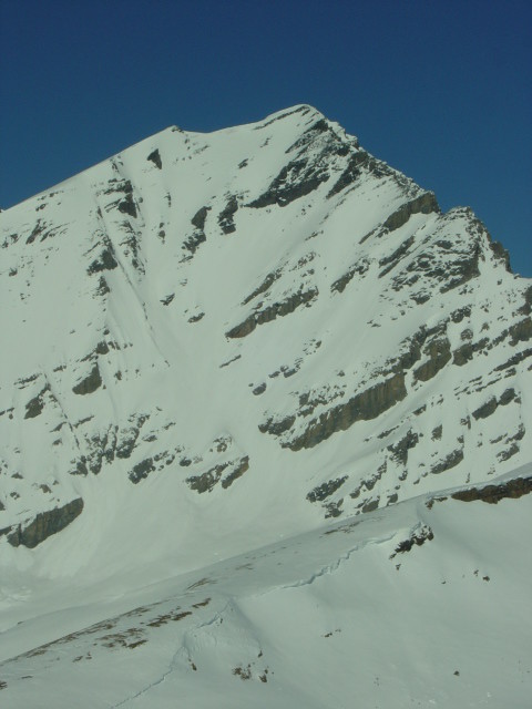 Face Sud du Balmhorn vu du sommet du Mauerhorn