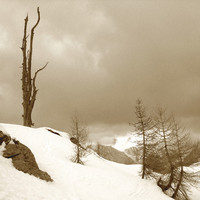 il Lares Vécc