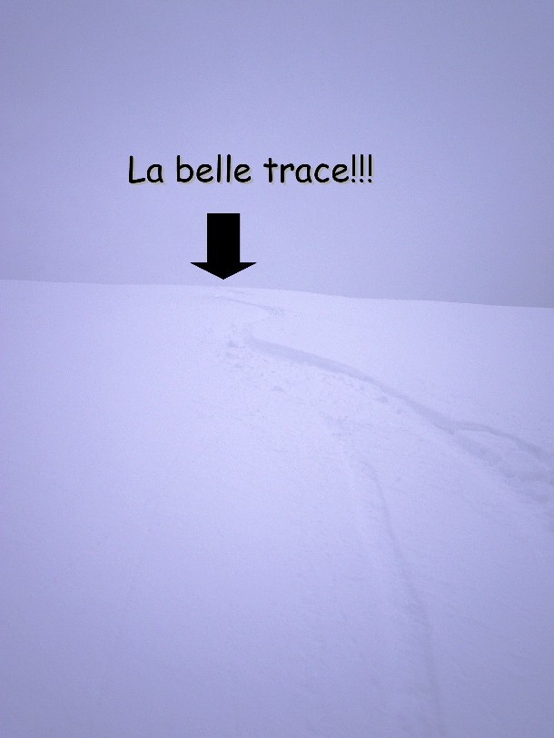 LA trace!!