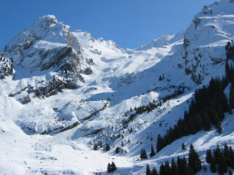Combe de Grand Crêt et ses avalanches