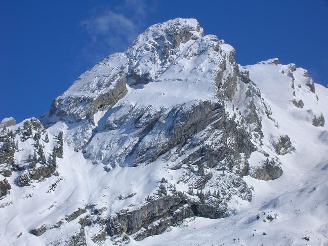 La forteresse du Paré de Joux
