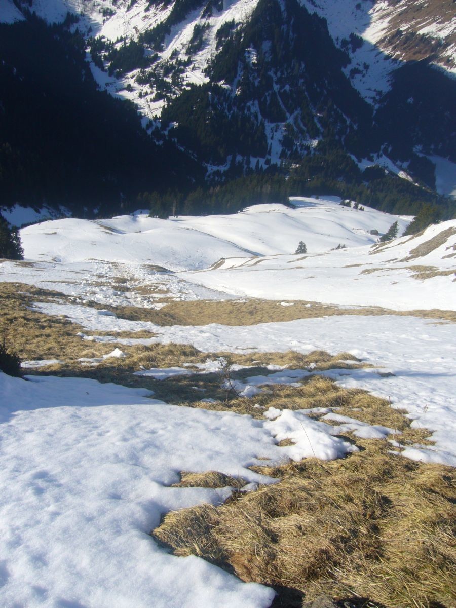 Au dessus des chalets de Jouly,Face SW.Mt de Grange