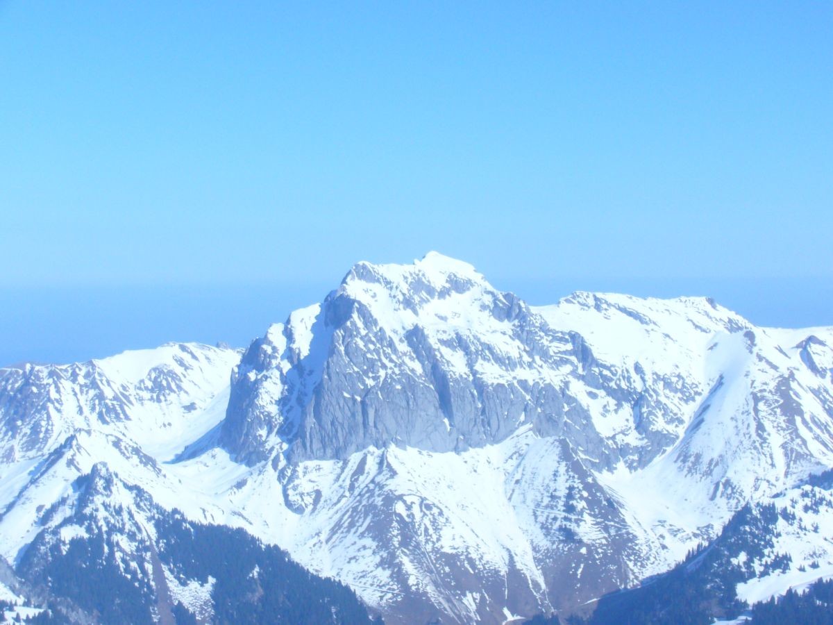 Cornettes de bises depuis MT de Grange