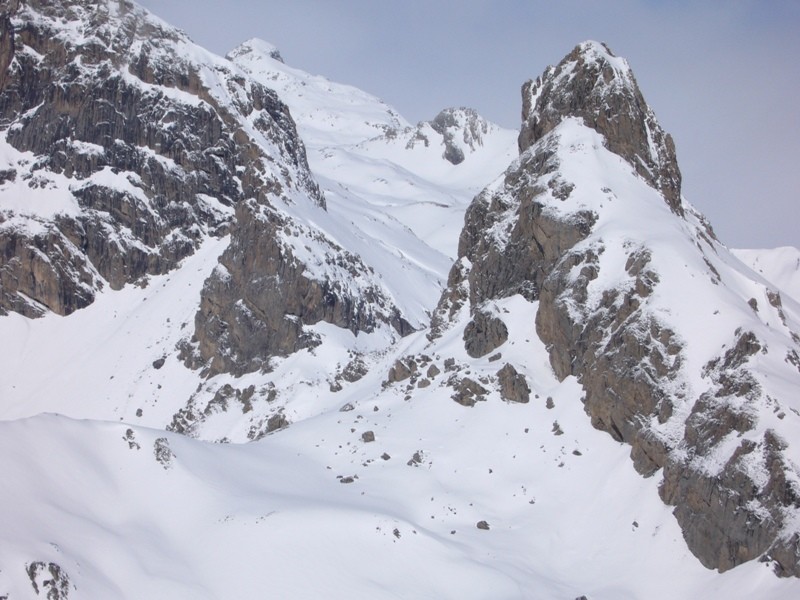 les arêtes de la bryuères