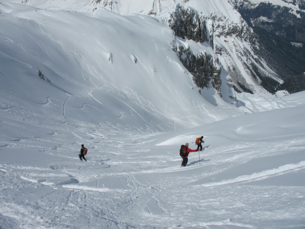 La descente en poudre