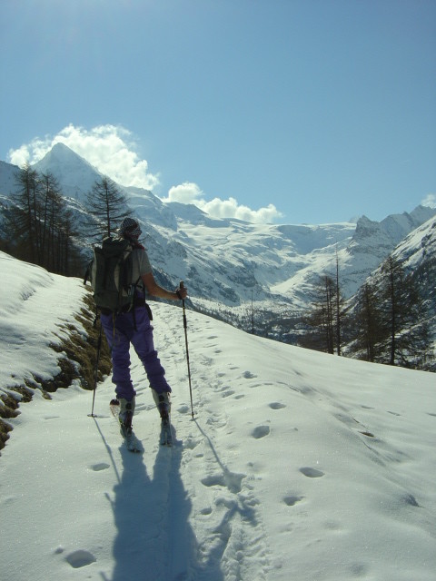Aux Mayens de Bréona, Evolène